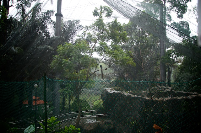 Kuala Lumpur Bird Park